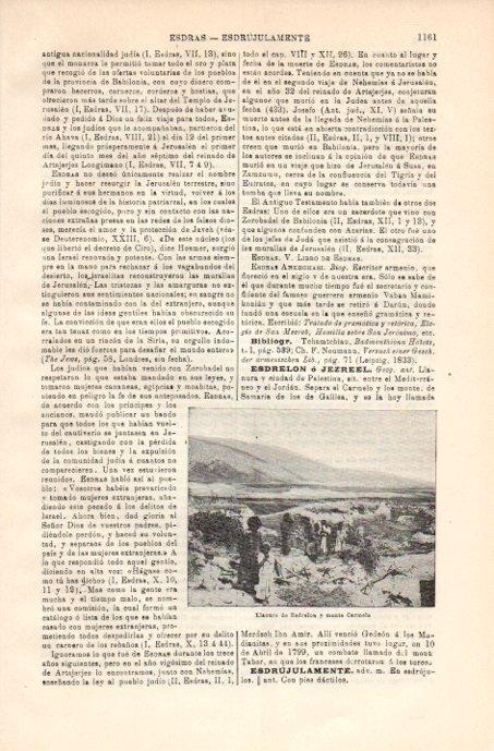 LAMINA V08165: Llanura de Esdrelon