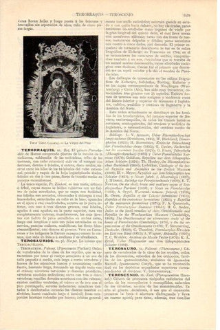 LAMINA V08373: La Virgen del Pino, Gran Canaria