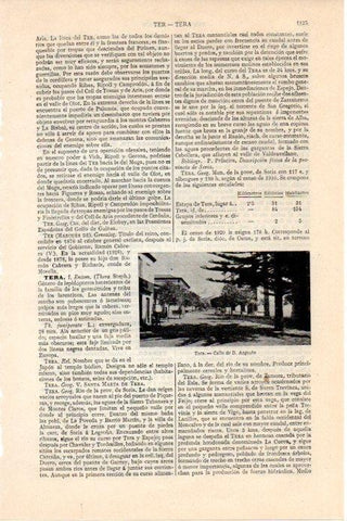 LAMINA V08336: Calle de Tera, Soria