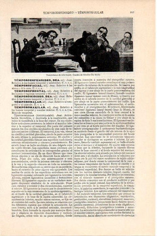 LAMINA V08293: Temporeros de seis reales, por Orestes da Molin