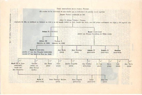 LAMINA V08304: Arbol genealogico de la familia Teniers