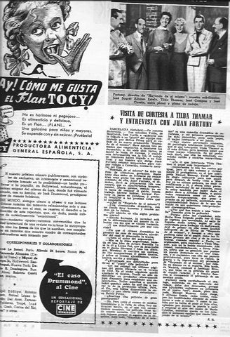 LAMINA 30348: Publicidad de Flan Tocy
