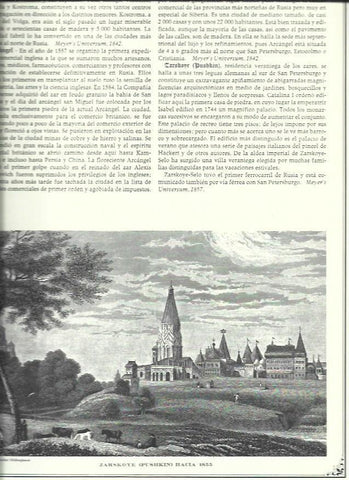 LAMINA 30514: Pushkin hacia 1855
