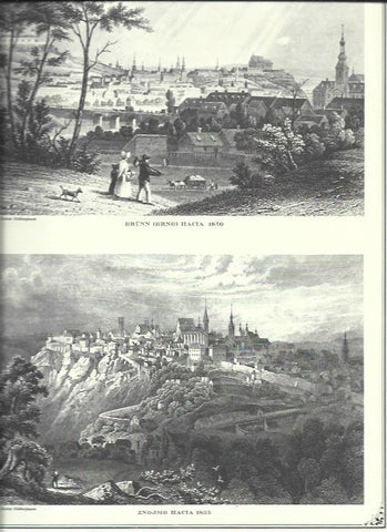 LAMINA 30513: Brno y Znojmo hacia 1855