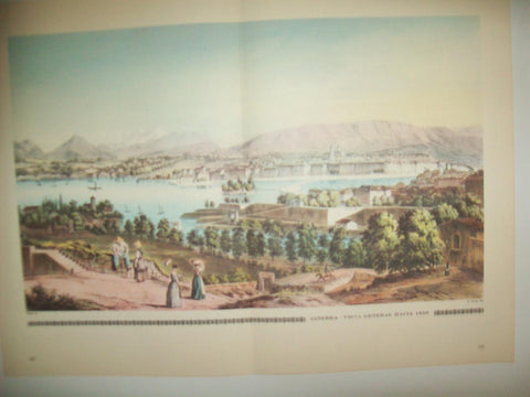 LAMINA 30540: Vista de Ginebra hacia 1850