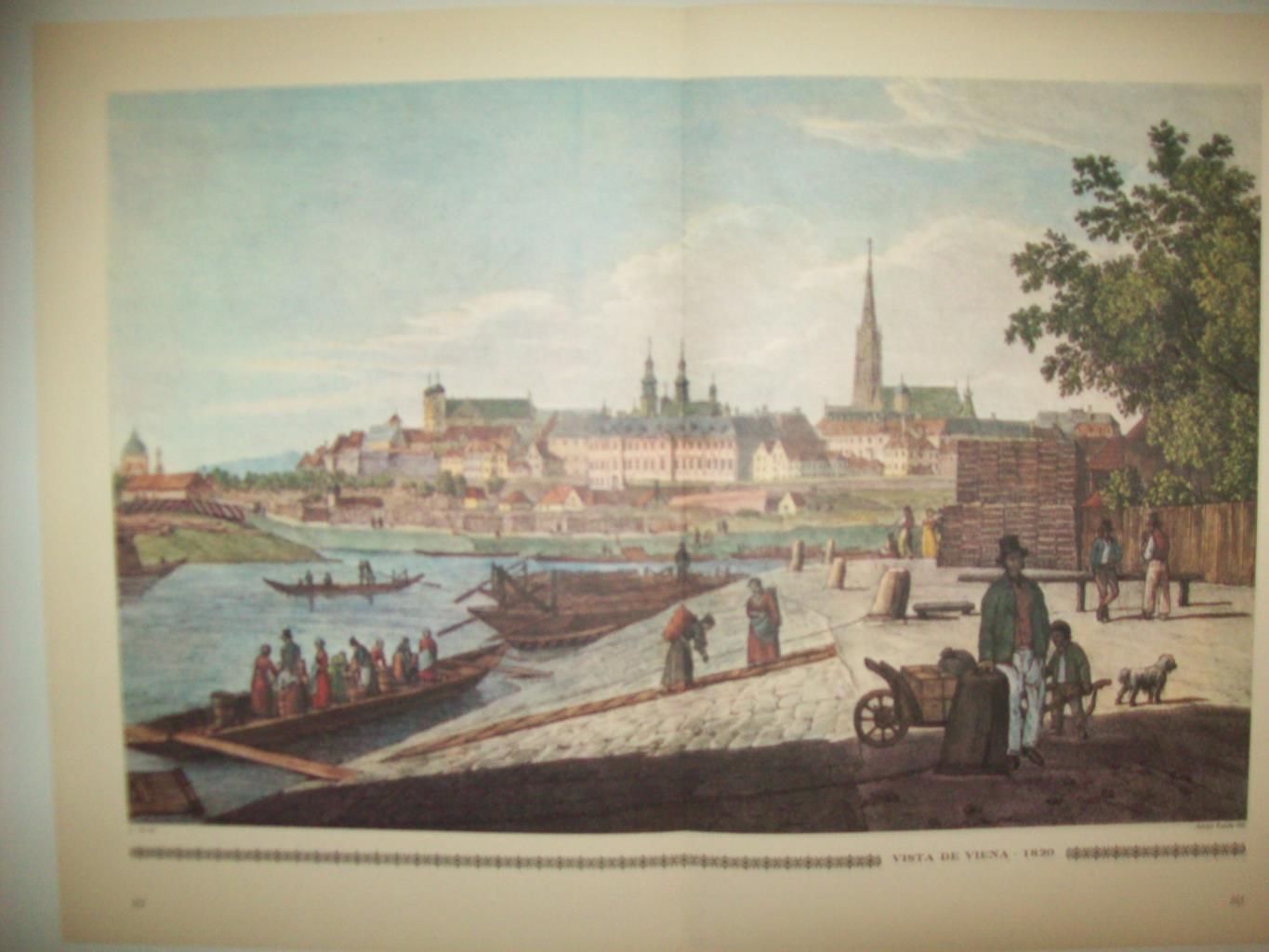 LAMINA 30538: Vista de Viena hacia 1820