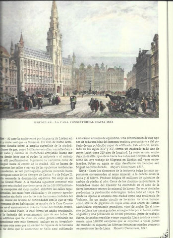 LAMINA 30500: Casa Consistorial de Bruselas hacia 1855