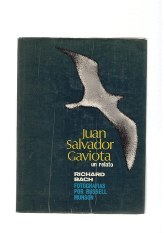 Juan Salvador Gaviota . Un relato