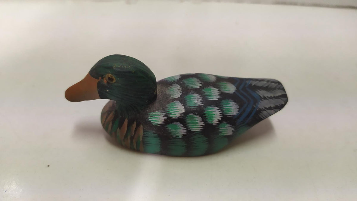 Figura: Pato 9