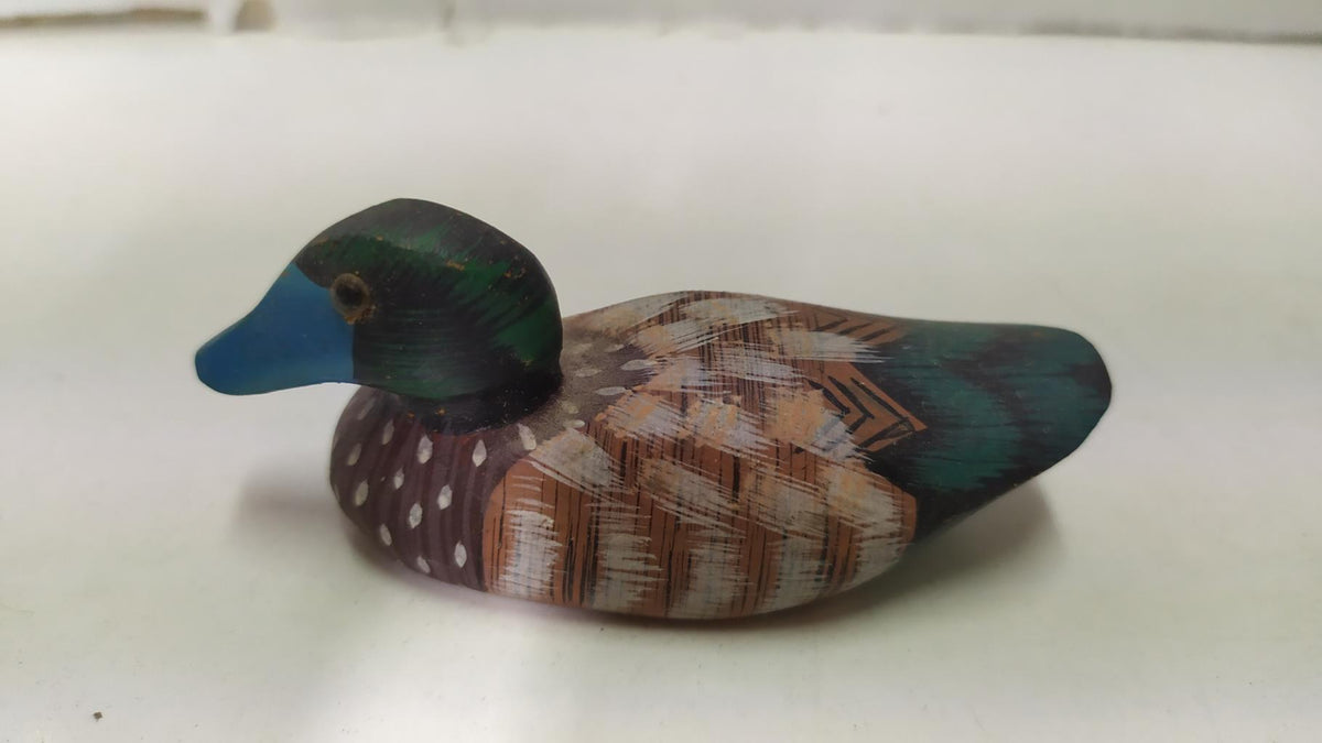 Figura: Pato 11