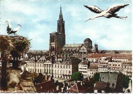 POSTAL L00550: Vista de Estrasburgo