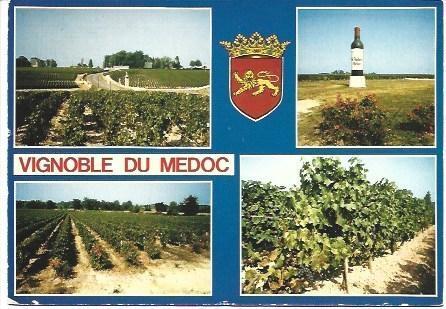 POSTAL L00548: Vistas de Vignoble du Medoc. Francia