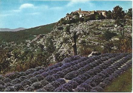 POSTAL L00594: Campos de lavanda en Gourdon, Francia