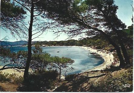 POSTAL L00122: Isla de Porquerolles, Francia