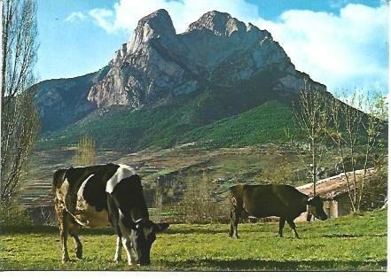 POSTAL L00160: Vista del Pedraforca
