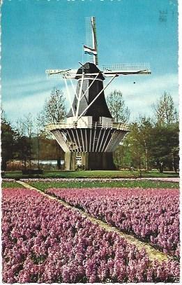 POSTAL L00134: Molino en Holanda