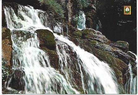 POSTAL L00283: Fuentes del Llobregat en Castellar de N'Hug, Barcelona