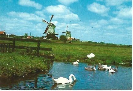 POSTAL L00333: Molinos en el campo de Holanda