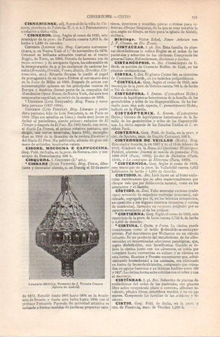 LAMINA V09100: Lampara electrica, por Vicente Cissarz