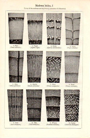 LAMINA V09001: Cortes de madera utiles