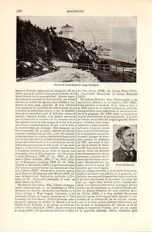 LAMINA V08987: Blocao de la isla Mackinac en Lago Michigan