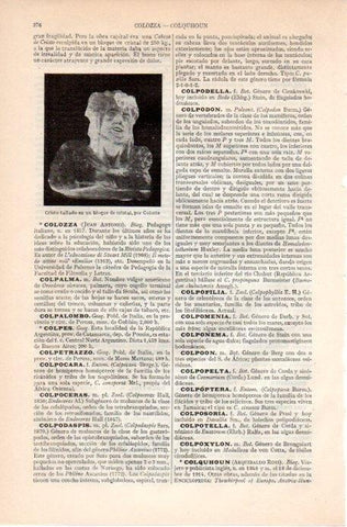 LAMINA V09118: Cristo, por Colotte