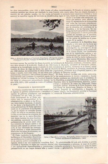 LAMINA V09216: Arreo de ovejas en el Territorio Magallanes, Chile