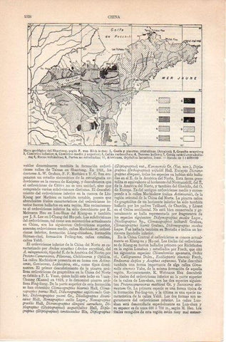 LAMINA V09228: Mapa geologico del Shantung, segun Von Rich hofen