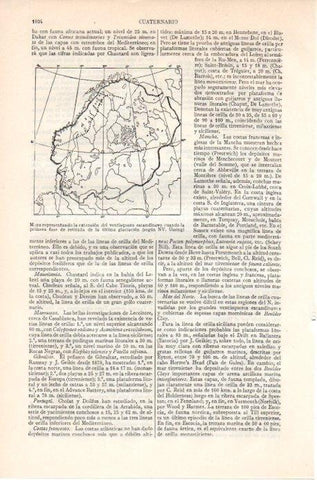 LAMINA V09168: Mapa del ventisquero escadinavo según NV. Ussing