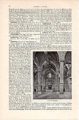LAMINA V08725: Lonja de Zaragoza