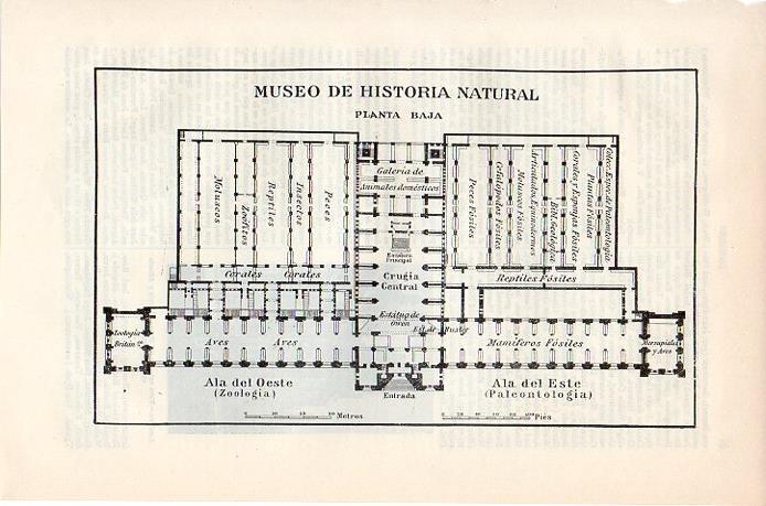 LAMINA V08707: Plano del Museo de Historia Natural de Londres
