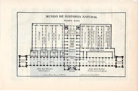 LAMINA V08707: Plano del Museo de Historia Natural de Londres