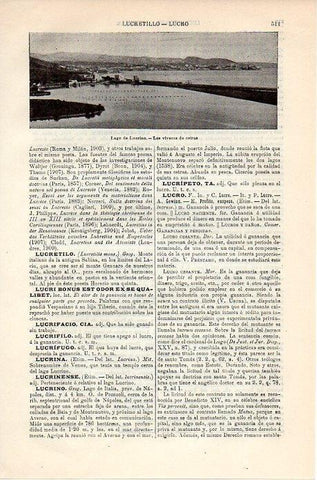 LAMINA V08840: Viveros de ostras en Lago Lucrino, Italia