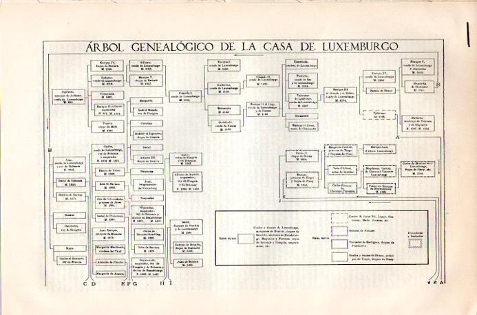 LAMINA V09256: Entrada de arbol genealogico de la casa de Luxemburgo