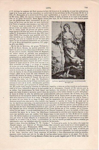 LAMINA V08922: La Luna aguafuerte aleman siglo XVI