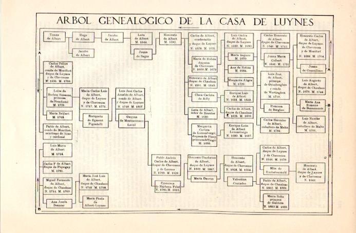 LAMINA V08951: Arbol genealogico de la casa de Luynes