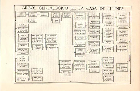 LAMINA V08951: Arbol genealogico de la casa de Luynes