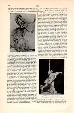 LAMINA V08952: La Luz, por Amors