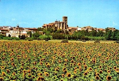 POSTAL PV00265: Vista parcial de Castellon de Ampurias