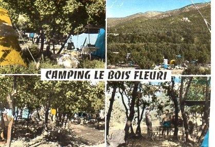 POSTAL PV00259: Vistas camping les Bois Fleuri