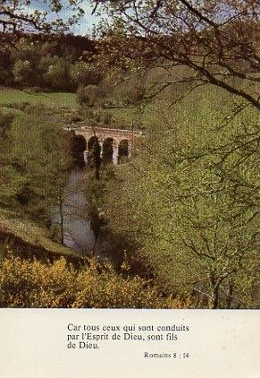 POSTAL PV00285: Puente con cita de Romains 8 : 14