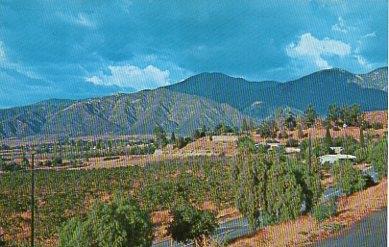 POSTAL PV00229: Viewed from Flagg Hill, Yucaipa, Estados Unidos