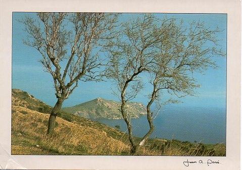 POSTAL PV00357: Sector meridional del Cap de Norfeu, Roses
