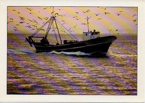 POSTAL PV00387: Pesquero en el mar, España