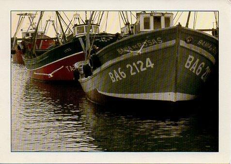 POSTAL PV00385: Barcos pesqueros en el puerto, España