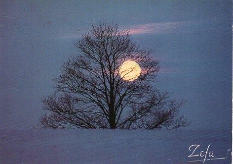 POSTAL PV00315: Lumieres d'Hivern