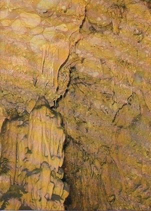 POSTAL PV00308: Fantasia de estalactitas en Coves del Salnitre-Collbato, Barcelona