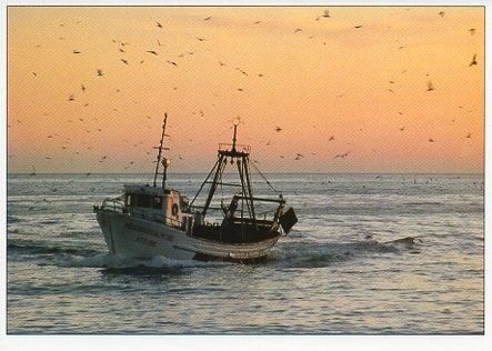 POSTAL PV00338: Barco de pesca en el Mediterraneo