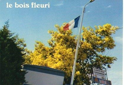 POSTAL PV00069: Le Bois Fleuri, Argeles-sur-Mer