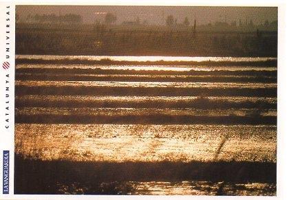 POSTAL PV00101: Amanecer en el Delta de l'Ebre